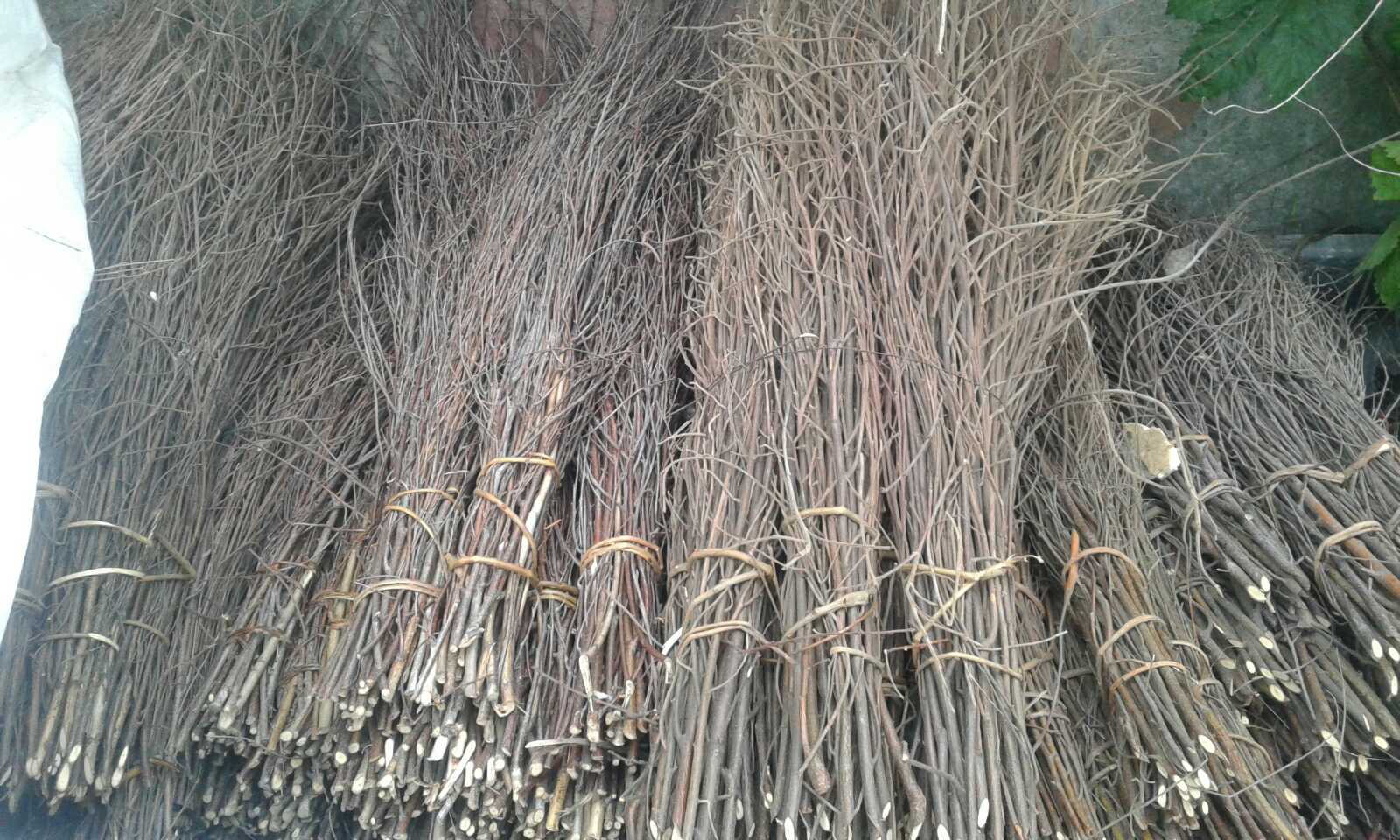 Мітла березова Стандарт для вулиць 80 см